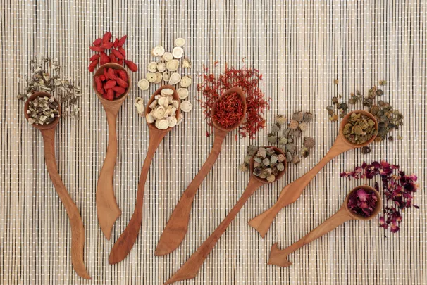 当院の漢方薬による診療について