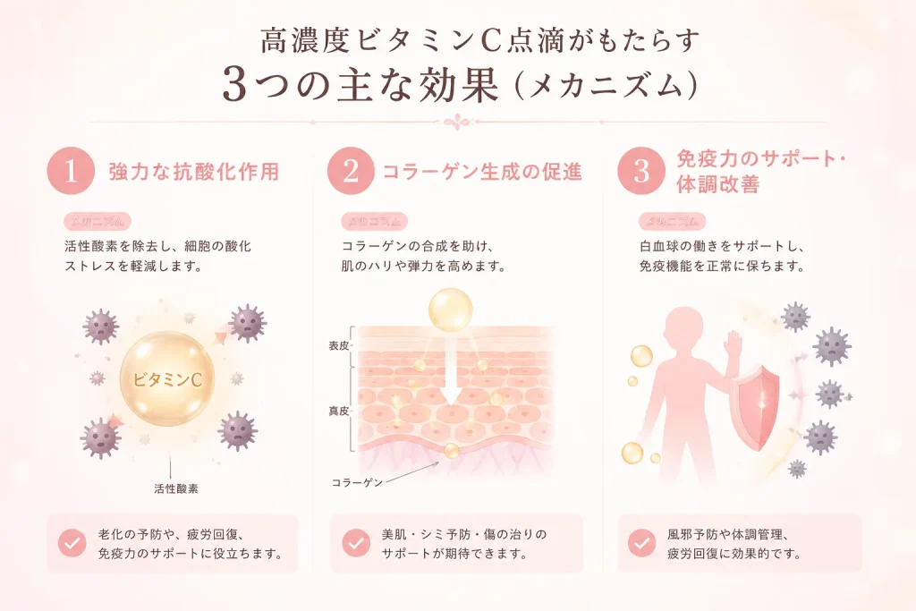高濃度ビタミンC点滴がもたらす3つの主な効果（メカニズム）